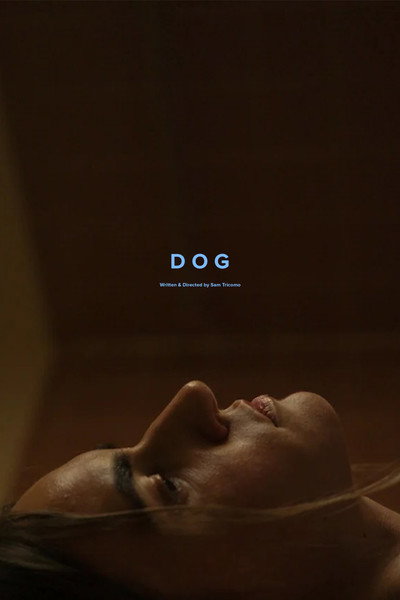 Póster de Dog