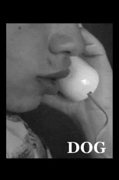 Póster de Dog