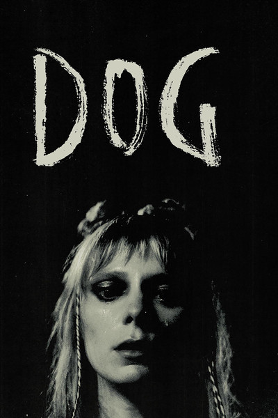 Póster de Dog