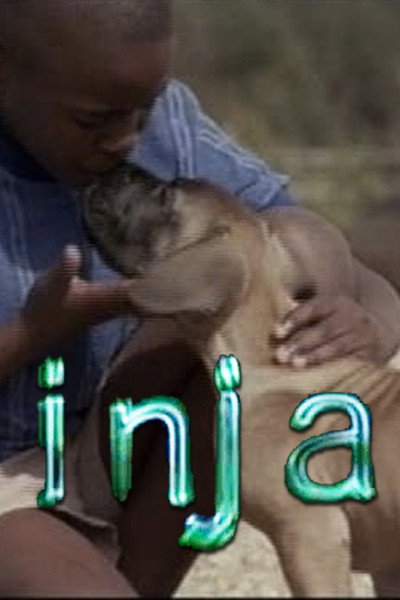 Póster de Dog