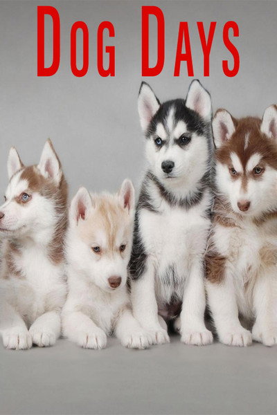 Póster de Dog Days