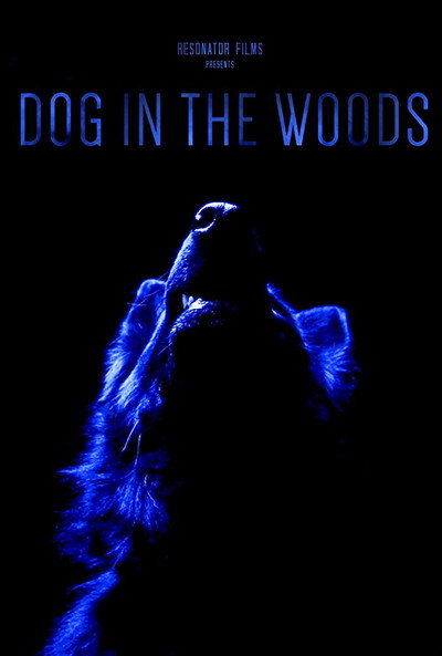 Póster de Dog in the Woods
