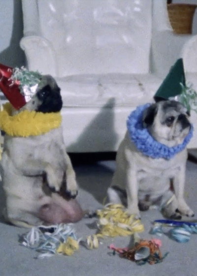 Póster de Dog Stories