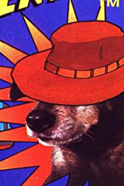 Póster de Doggie Adventure