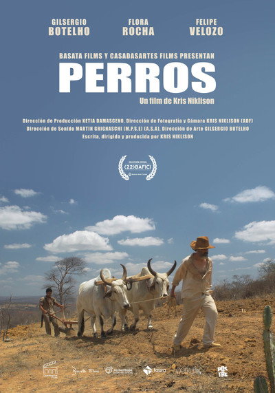 Póster de Dogs