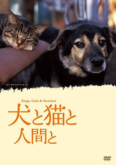 Póster de Dogs, Cats & Humans