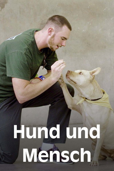 Póster de Dogs & Us - The Secret of a Friendship