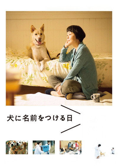 Póster de Dogs Without Names