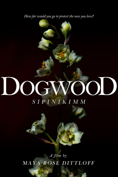 Póster de Dogwood