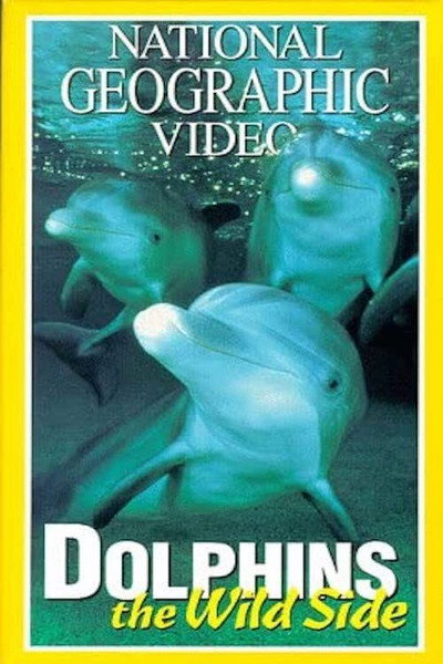 Póster de Dolphins: The Wild Side