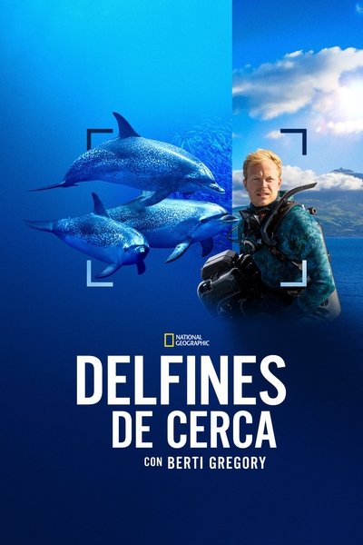 Póster de Dolphins Up Close with Bertie Gregory