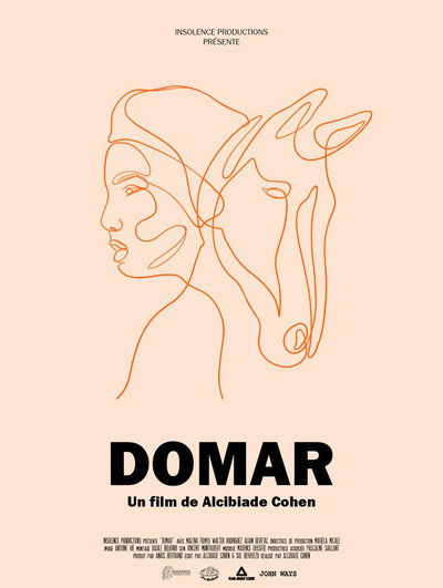 Póster de Domar