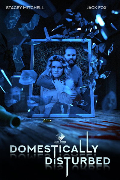 Póster de Domestically Disturbed