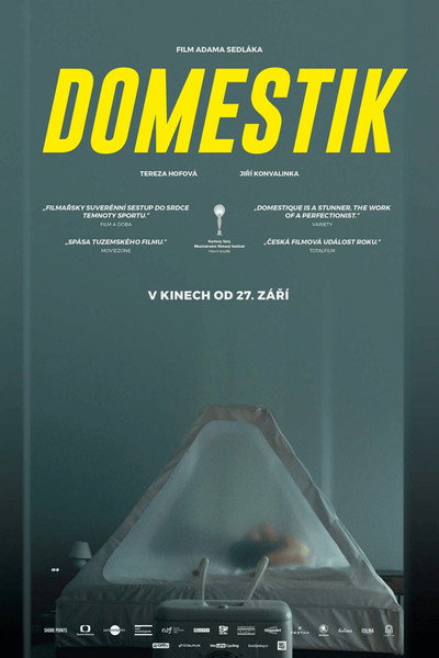 Póster de Domestique
