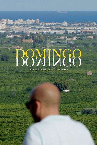 Póster de Domingo Domingo