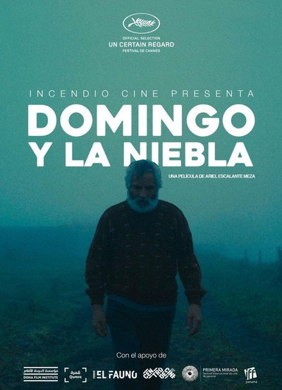 Póster de Domingo y la niebla
