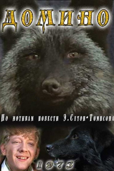 Póster de Domino
