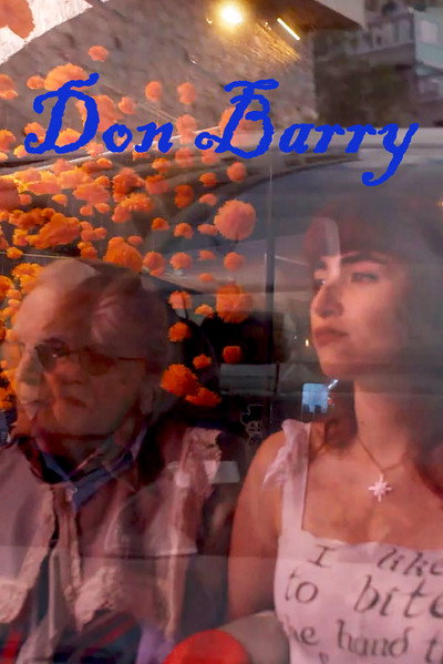 Póster de Don Barry: A Quixotic Exploration