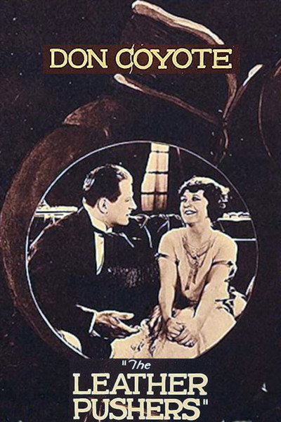 Póster de Don Coyote