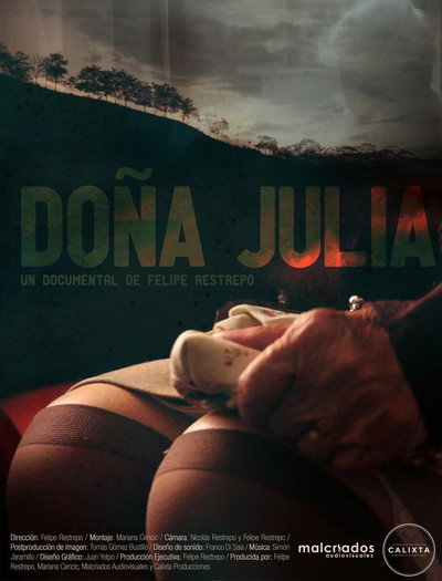 Póster de Doña Julia