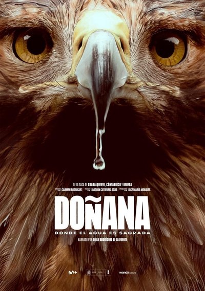 Póster de Doñana