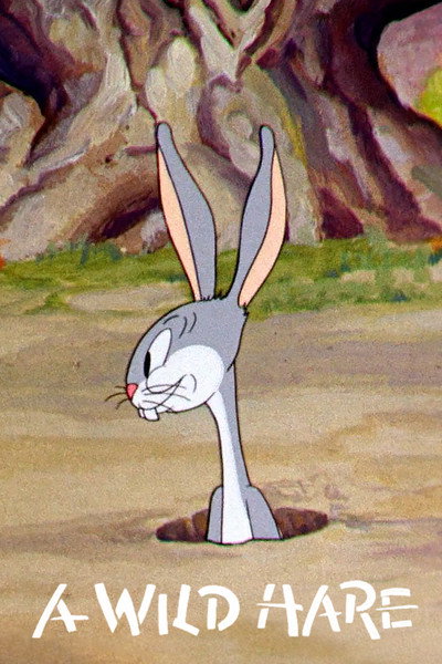 Póster de ¿Dónde está el conejo?