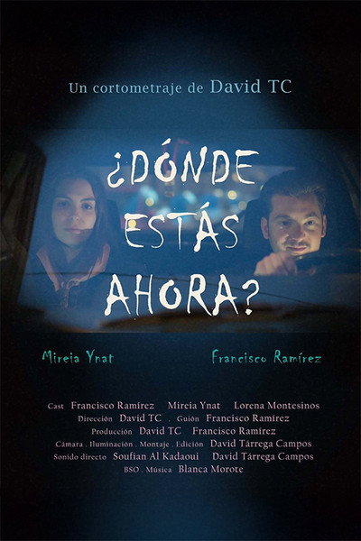 Póster de ¿Dónde estás ahora?