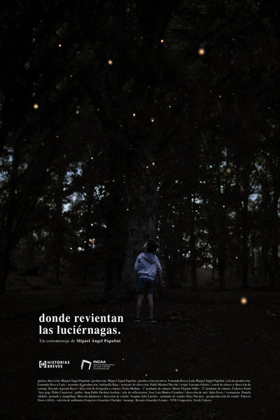 Póster de Donde revientan las luciérnagas