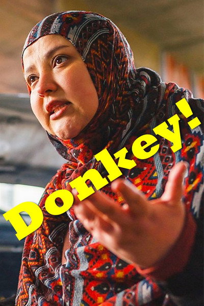 Póster de Donkey