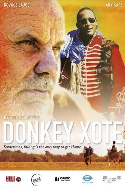 Póster de Donkey Xote
