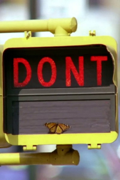 Póster de Don't