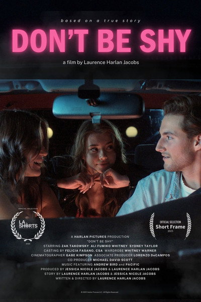 Póster de Don't Be Shy