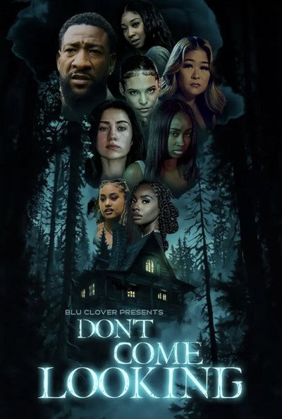 Póster de Don't Come Looking