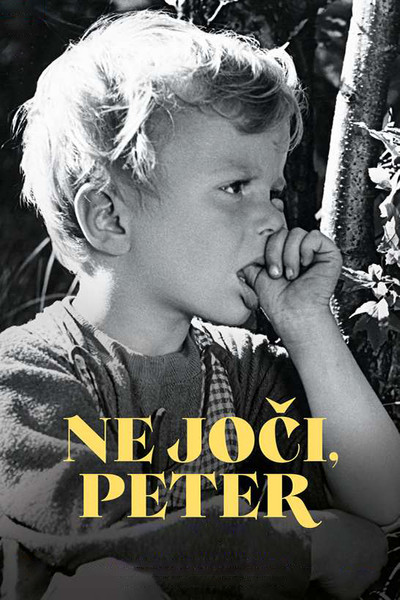 Póster de Don't Cry Peter