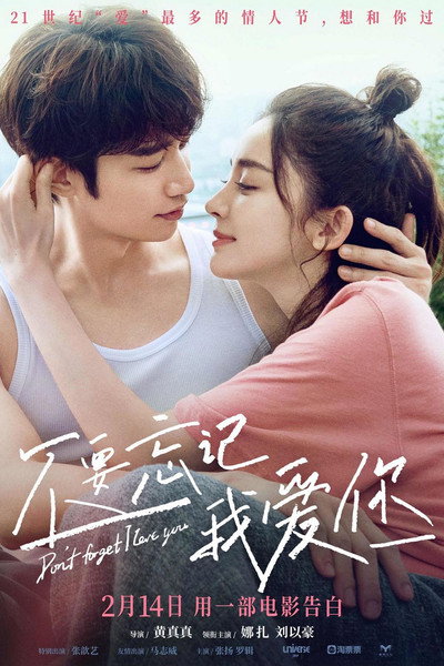 Póster de Don't Forget I Love You