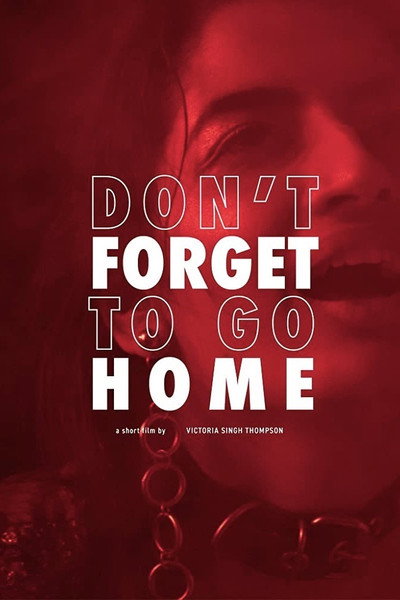 Póster de Don't Forget to Go Home