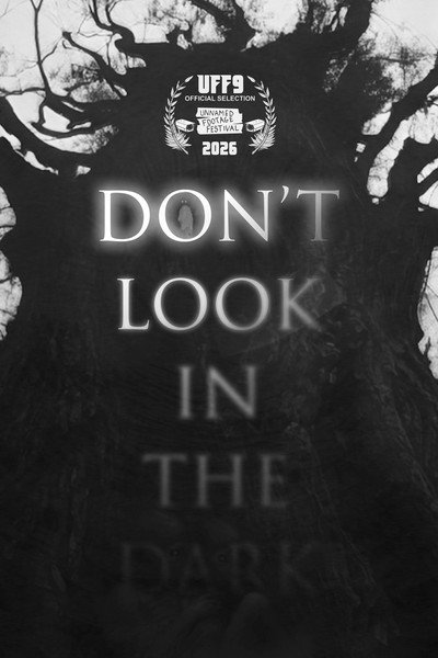 Póster de Don't Look in the Dark
