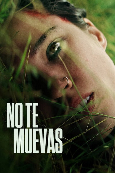 Póster de Don't Move