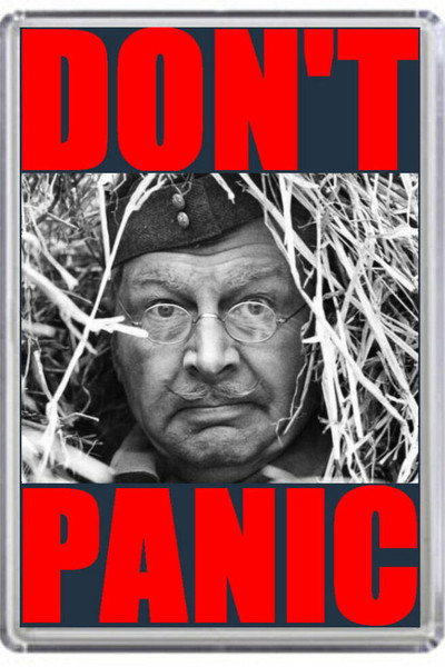 Póster de Don't Panic! The Dad's Army Story