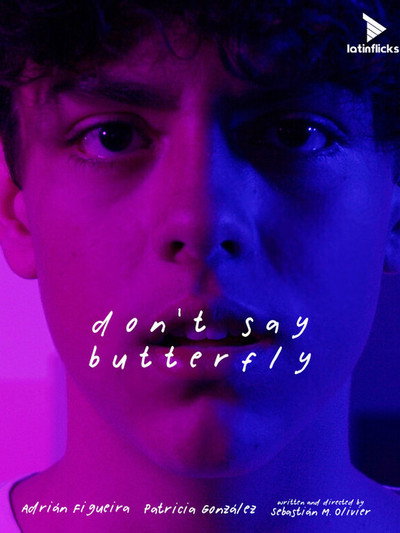 Póster de Don't say butterfly