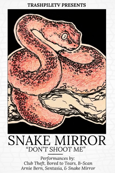 Póster de Don't Shoot Me: The Snake Mirror Weekend Tour