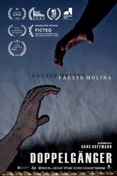 Póster de Doppelgänger
