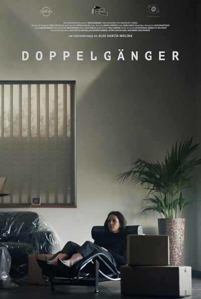 Póster de Doppelgänger