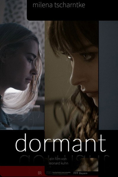 Póster de Dormant