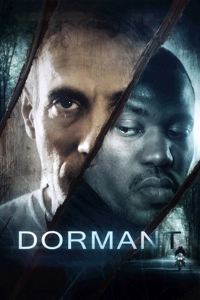 Póster de Dormant