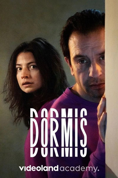 Póster de Dormis