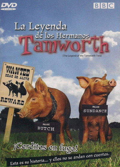 Póster de Dos cerditos y un destino