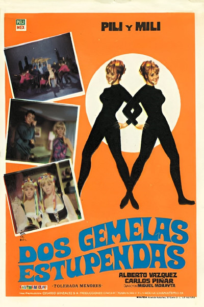 Póster de Dos gemelas estupendas