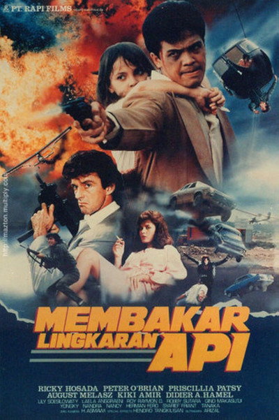 Póster de Double Crosser