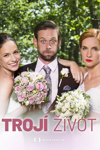 Póster de Double Trouble